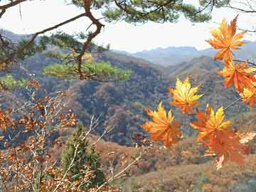 社会山南苑的最新房价-山南苑近期房价行情