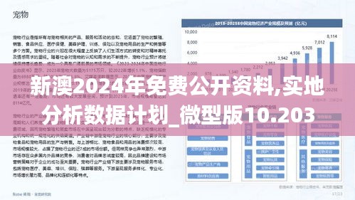 2024新澳资料免费精准051,快速问题策略处理_虚拟集V42.568