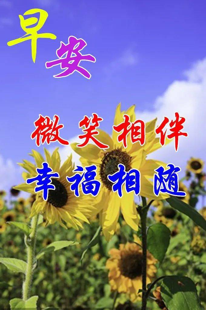 清晨美好新篇章，温馨早安祝福来