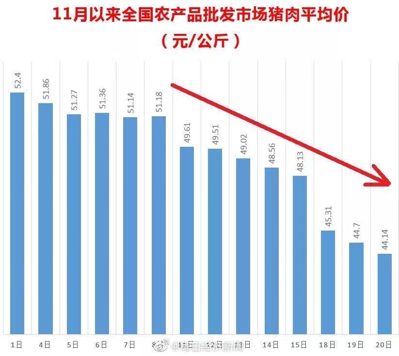 福建猪肉市场喜讯连连，价格走势向好！