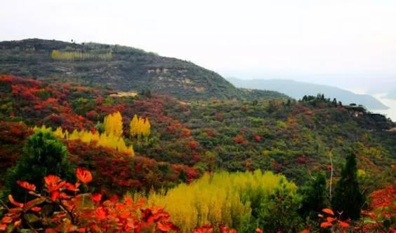 洛阳巨龙家园宜居指数新升，美好家园房价再攀高峰