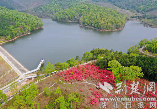 京山湖畔最新动态：湖北京山新闻资讯速递